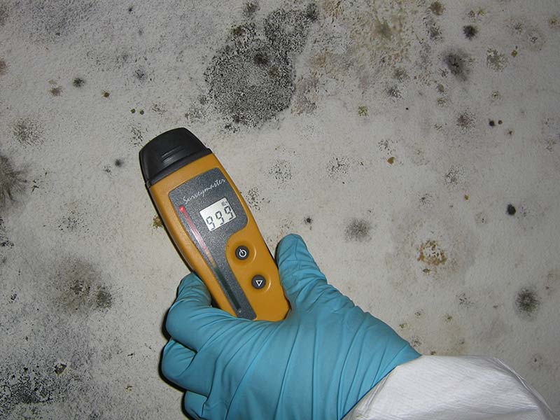 Mold_Remediation_and_Removal_in_Des_Moines